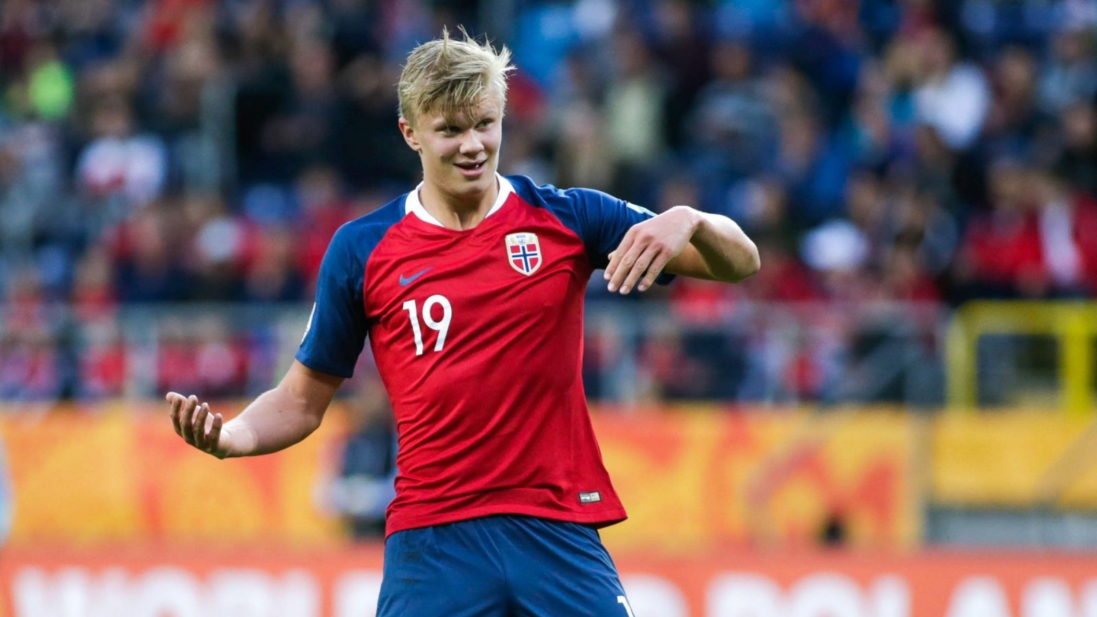 本新星若能 本新星若能